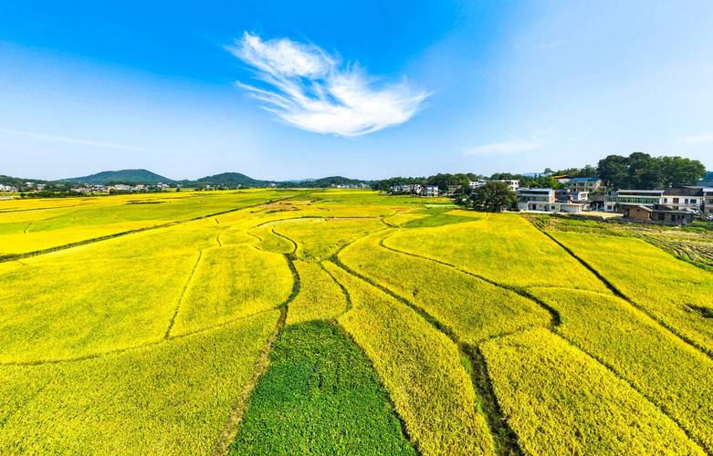 山塘维修验收报告：守护生态水利，助力乡村振兴