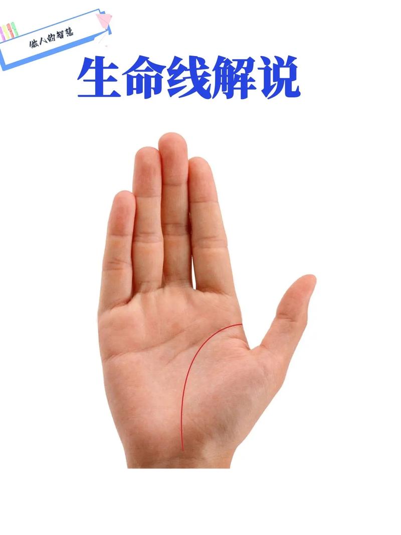 广播系统维修申请报告解读:保障信息传递的“生命线”