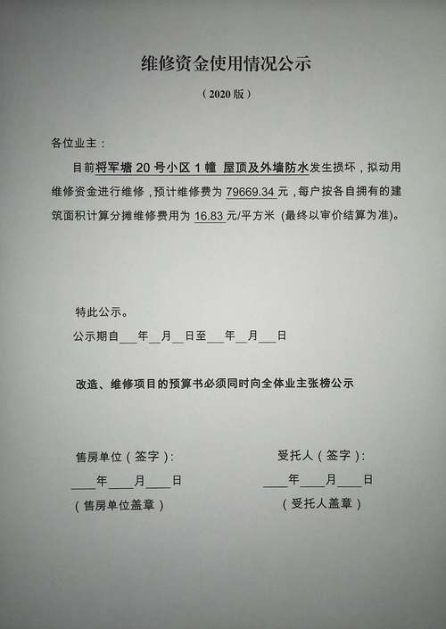 应急维修资金审计报告:提示资金使用效益,助力城市基础设施安全