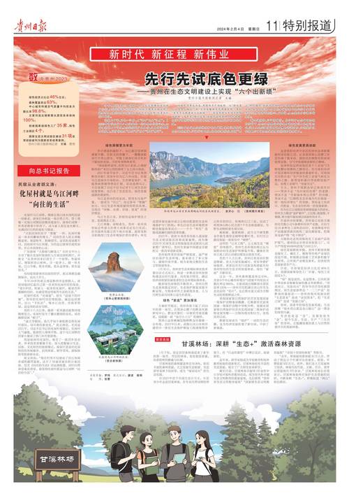 强化林场道路维修资金管理，助力绿色生态建设