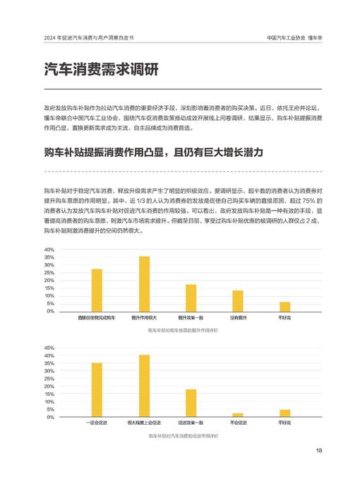影豹维修例子报告介绍:技术革新下的汽车维护之路