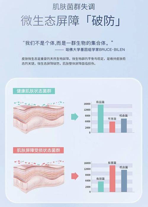 微生物高压锅维修报告解读:安全与高效的守护者