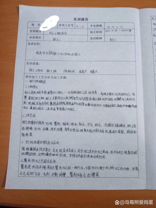 德国电器维修实训报告_理论与方法的完美融合