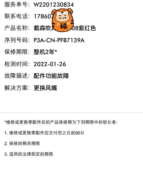 戴森维修检测报告:品质与技术的双重见证