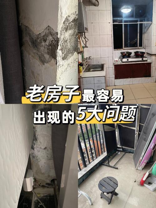 房屋维修改造，焕新家之灵魂_基于可行性报告的分析