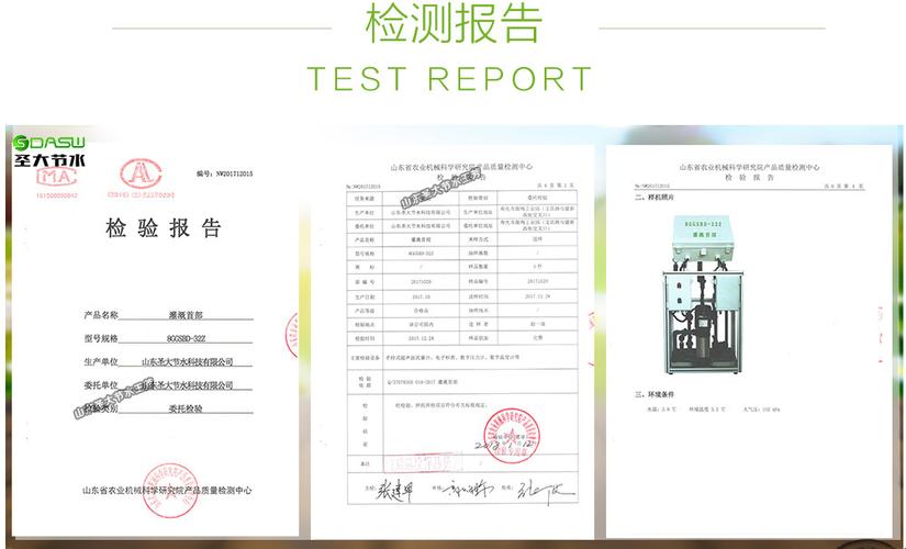 扬水站维修报告:保障农业灌溉,助力乡村振兴