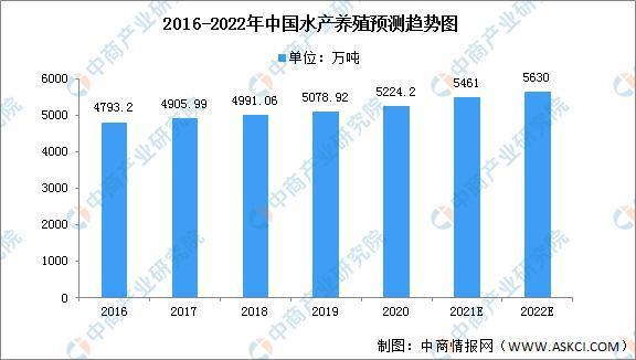 挖掘机维修分析报告:技术革新与行业发展的未来展望