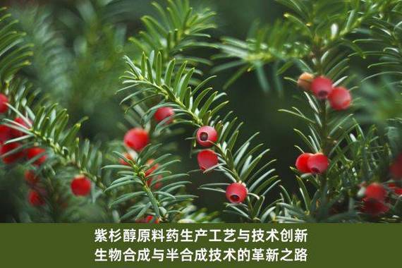 排气扇故障维修报告介绍：技术革新与质量保障