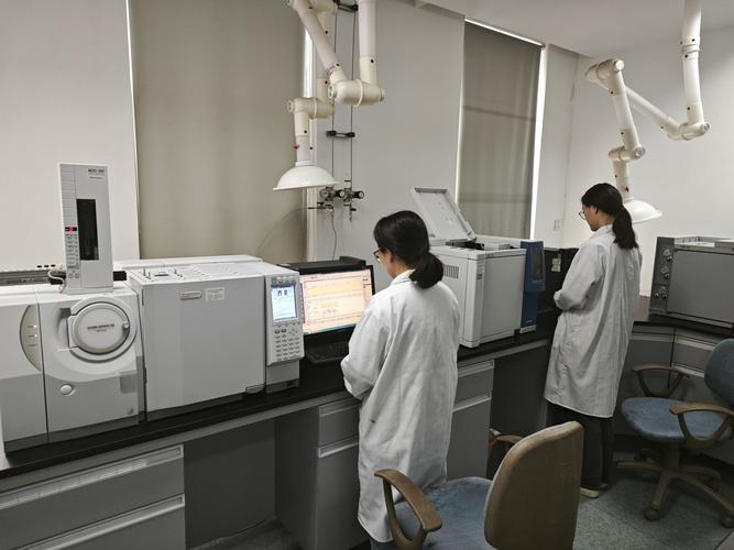 排污系统维修报告解读：保障环保与健康的守护者