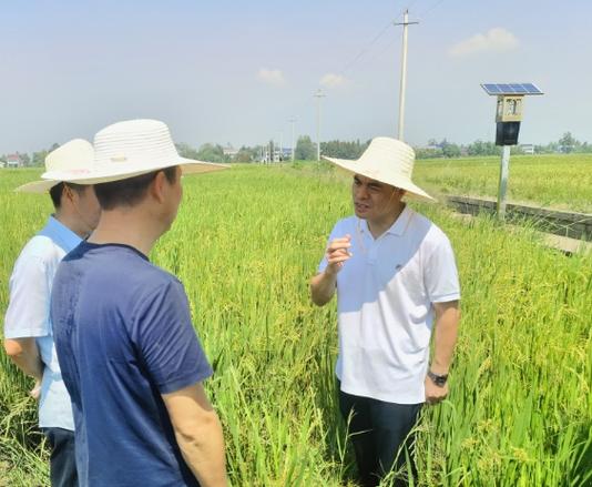 推动绿色发展,助力乡村振兴_沼气维修补助申请报告解读