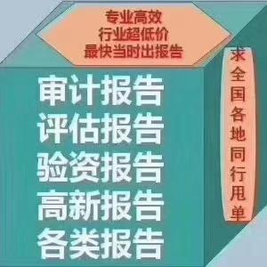 政府维修审计报告:守护公共资产的“体检师”