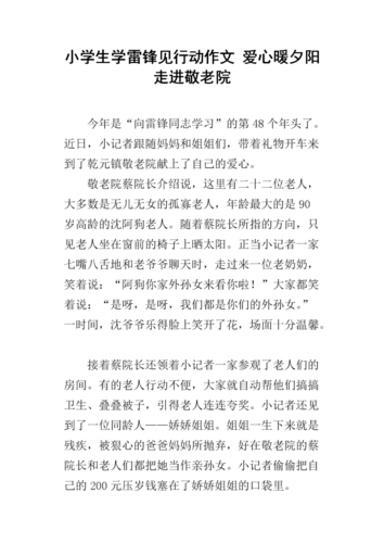 敬老院维修经费报告:呵护夕阳,共筑温馨家园