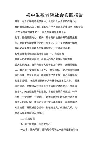 敬老院维修费报告解读:守护夕阳,筑牢温馨家园的基石
