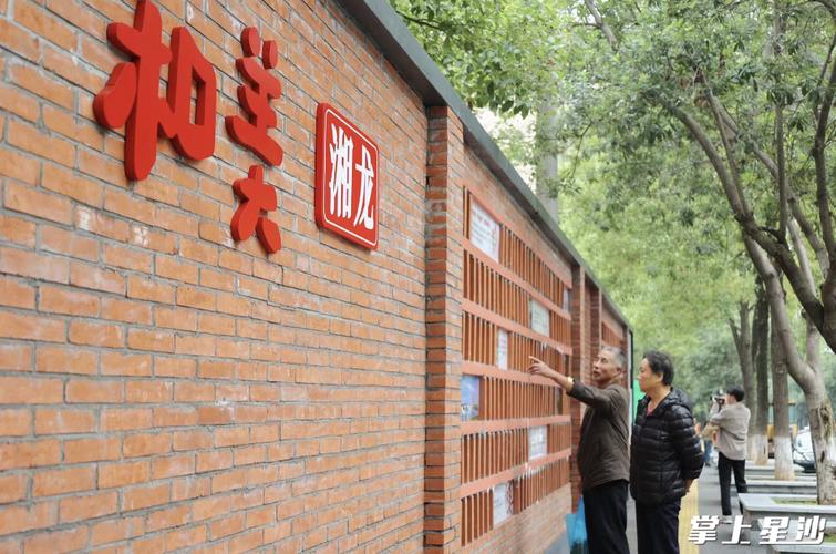 文化站围墙维修：守护历史记忆，焕发文化新生