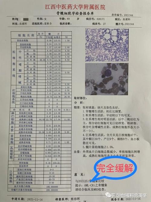 新血液注入,技术革新再起航_记维修工张伟入职报告