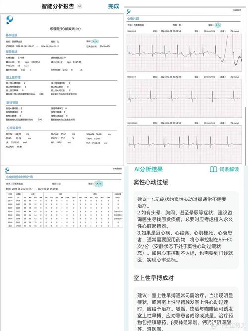 木栈道维修申请报告解读:守护自然风光,保障游客安全