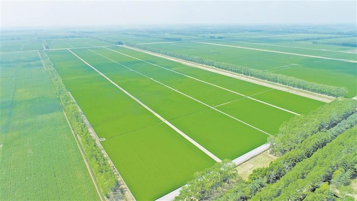 机井维修检测报告_确保农业灌溉稳定发展的关键