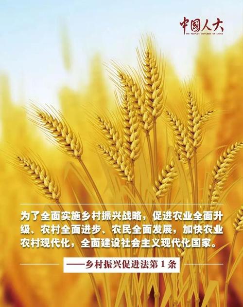 机井维修资金使用报告介绍:保障农业灌溉,助力乡村振兴