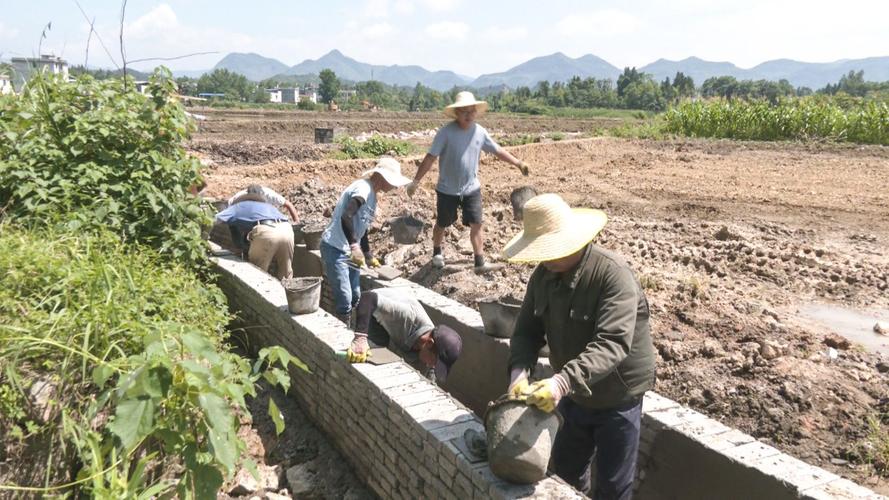 机耕路维修申请报告:保障农业生产,助力乡村振兴