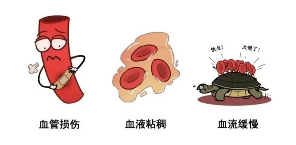 村内饮用纯净水维修报告解读:守护生命之源,共筑健康防线