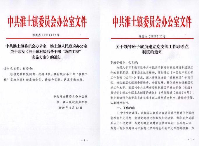 村委会房地产维修报告解读:乡村振兴中的坚实基石