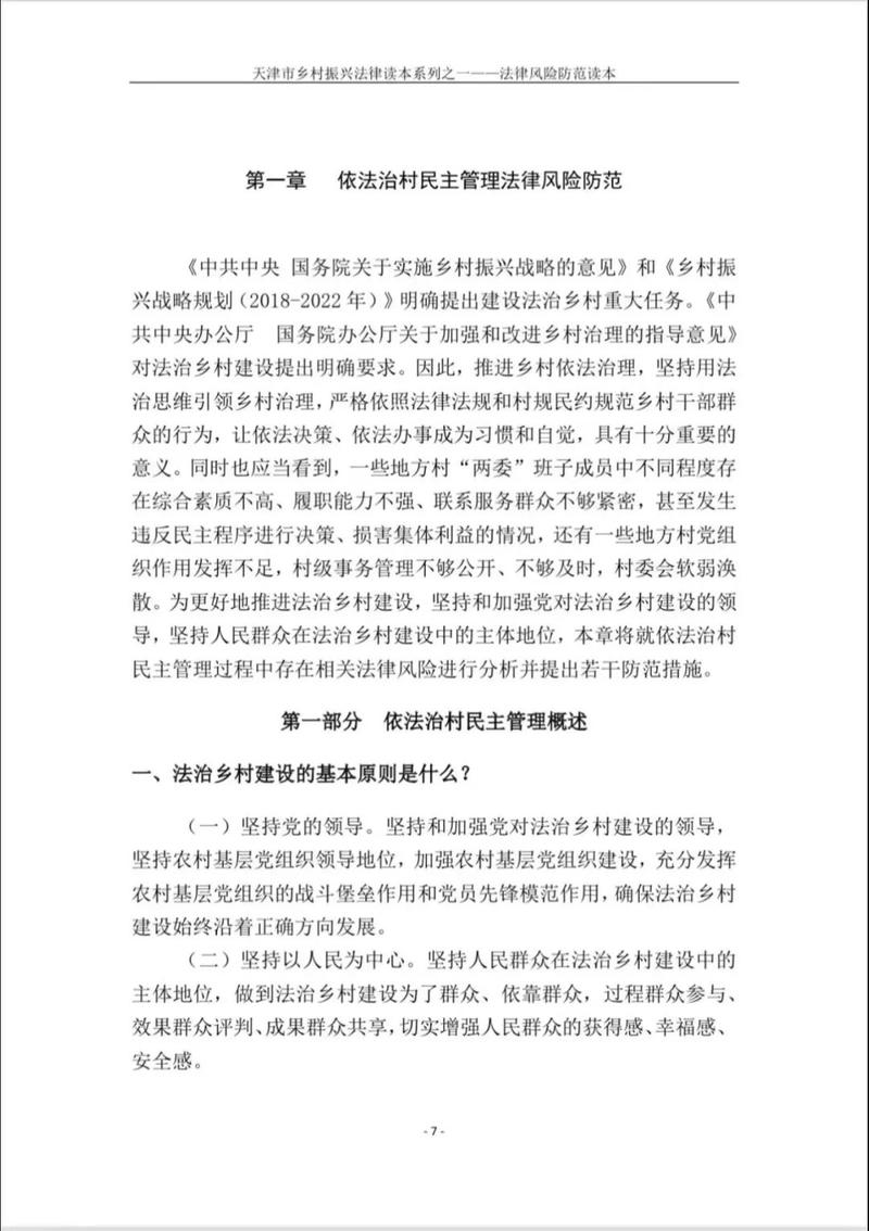 村委会资金报告分析:守护乡村振兴的资金脉搏