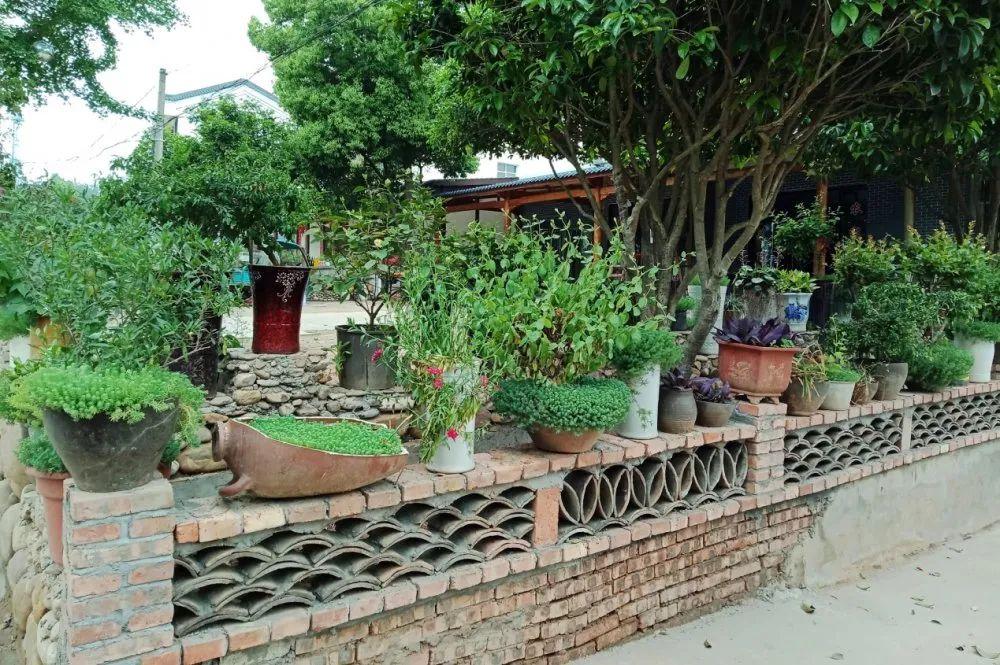 村水塘维修申请报告:守护绿水青山,助力乡村振兴