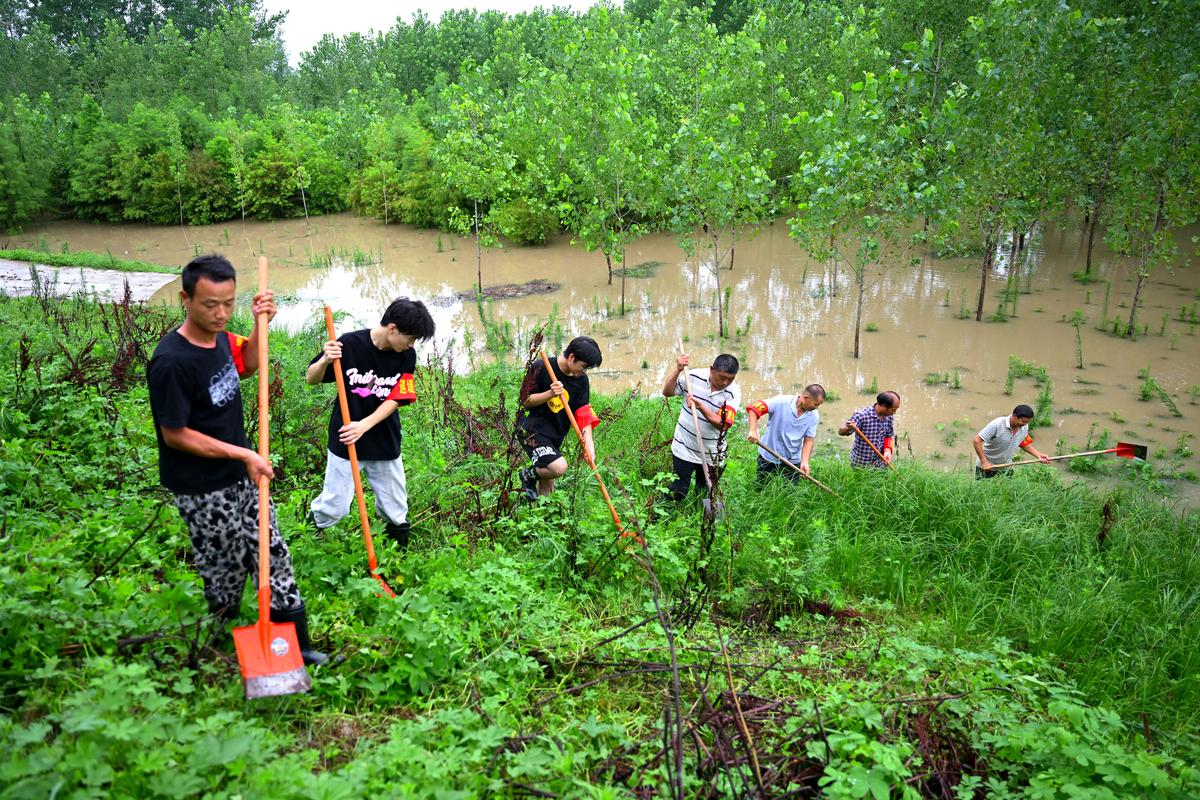 村河堤维修:筑牢防洪屏障,守护家园安宁