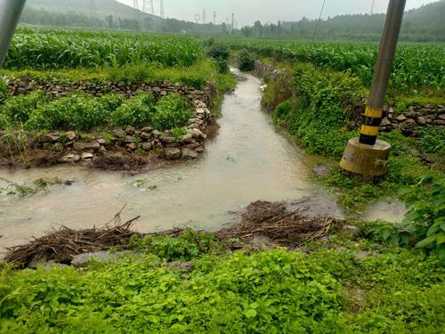 村防洪沟维修申请报告解读:筑牢家园防线,守护绿水青山