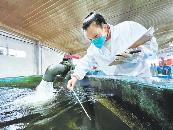 杭州精密空调维修报告解读:技术革新背后的温度守护