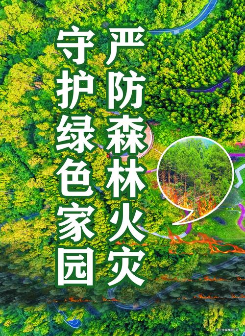 林管站维修报告解读：守护绿色家园，提升森林资源保护力度