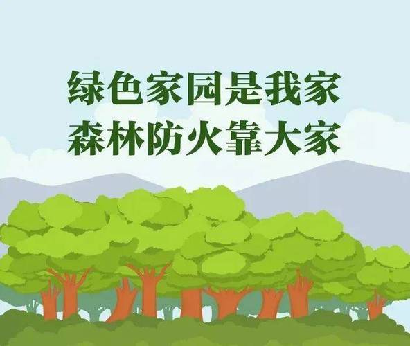 林道防火线维修资金报告介绍:筑牢森林安全防线,守护绿色家园