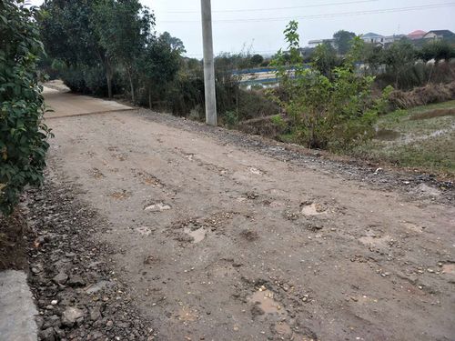 果园道路维修报告单