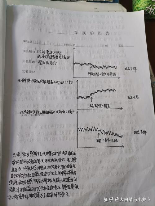 桥梁维修报告:确保城市交通动脉的畅通无阻