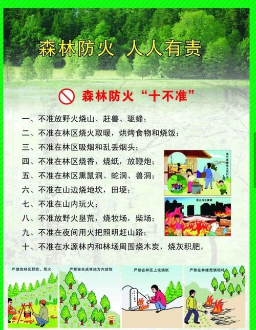 森林防火道维修验收报告解读：筑牢绿色屏障，守护生态家园