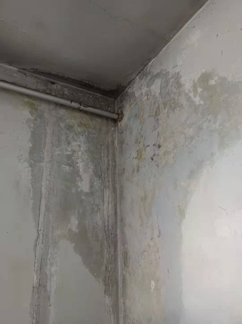 楼顶漏雨,建筑安全与居住品质的双重挑战