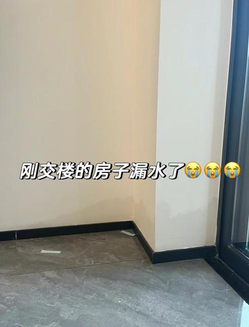 毛坯房维修工作总结：质量与效率的提升之路