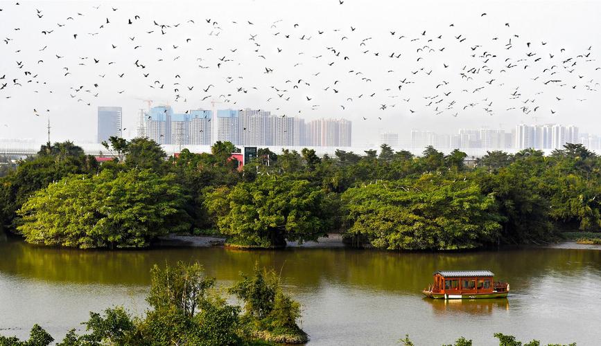 水沟维修申请报告：守护城市“血脉”，保障民生福祉
