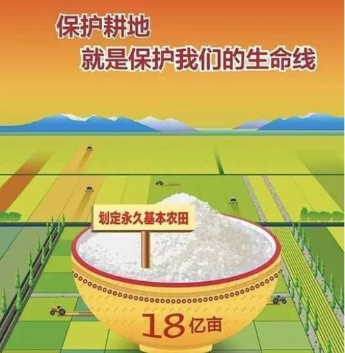 水渠维修报告解读:守护农田生命线,助力乡村振兴