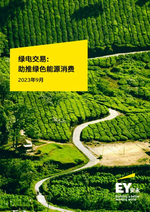 水电站维修申请报告解读:保障能源安全,助力绿色发展