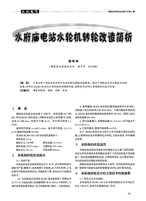 水轮机转轮维修可研报告解读:技术革新与产业发展
