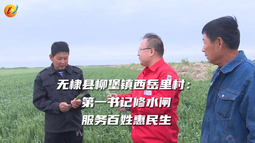 水闸维修申请报告解读：守护水利安全，助力乡村振兴