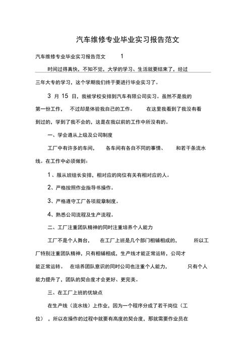 汽车维修学徒月度报告：专业技能与职业素养的升华