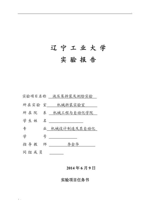 泵的维修与更换实验报告介绍