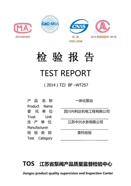 泵站维修初验报告_确保泵站安全运行,助力水利工程发展