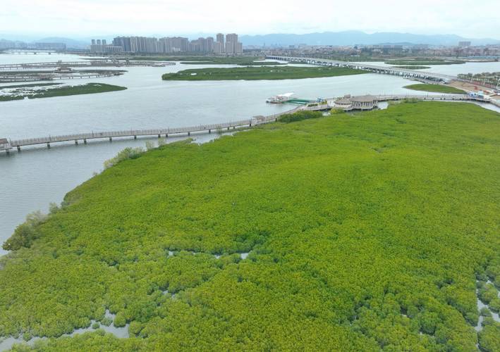 洗手池掉落维修报告引发的思考:安全与美观的和谐共生