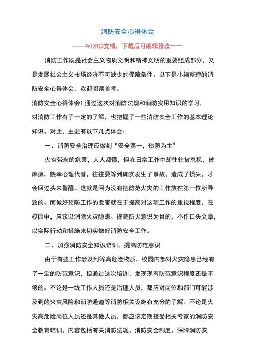 消防维修总结报告介绍:强化安全防线,筑牢生命之盾