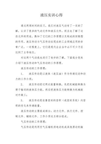 液压机械维修实训报告解读与展望