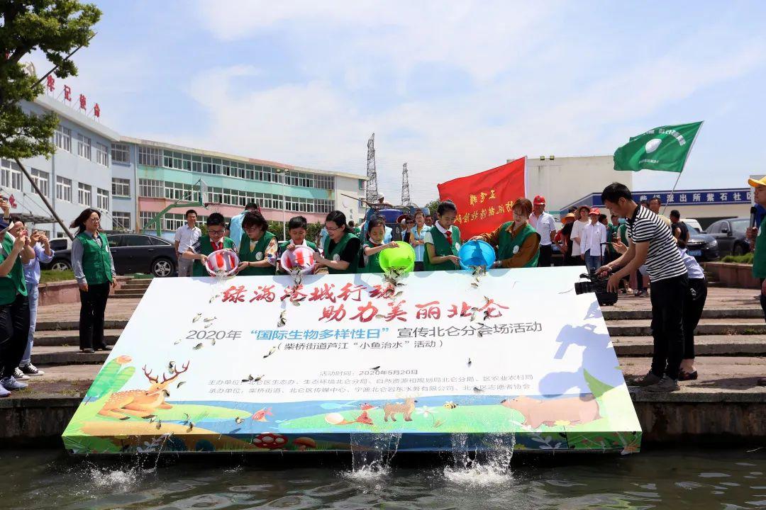游船维修呈批报告:确保水上航行安全的守护者