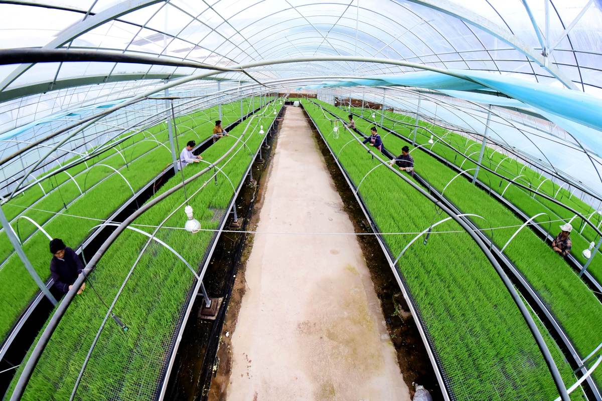 灌溉用水池维修报告解读:守护绿色生命线的坚实保障